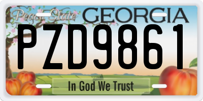 GA license plate PZD9861