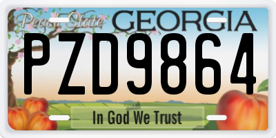GA license plate PZD9864