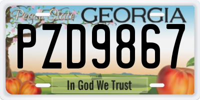 GA license plate PZD9867