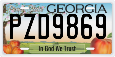 GA license plate PZD9869