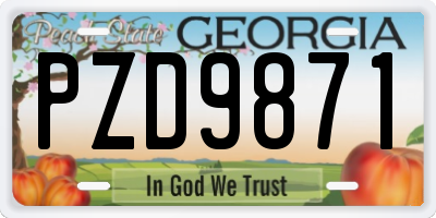 GA license plate PZD9871