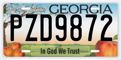 GA license plate PZD9872