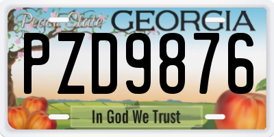 GA license plate PZD9876