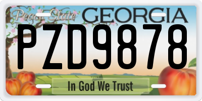 GA license plate PZD9878