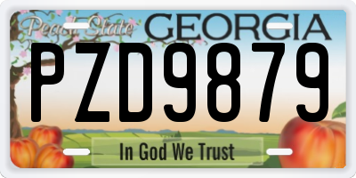 GA license plate PZD9879