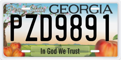 GA license plate PZD9891
