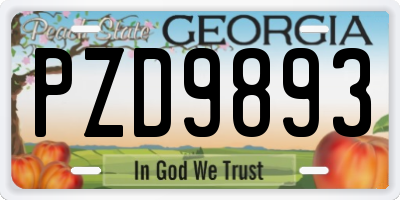 GA license plate PZD9893