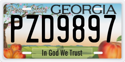 GA license plate PZD9897
