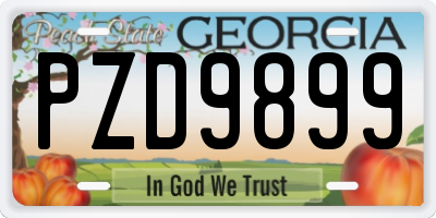 GA license plate PZD9899
