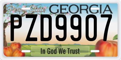GA license plate PZD9907