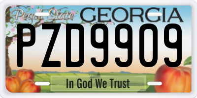 GA license plate PZD9909
