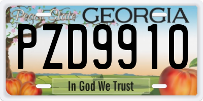 GA license plate PZD9910