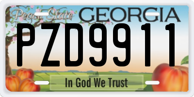 GA license plate PZD9911