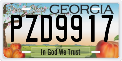 GA license plate PZD9917