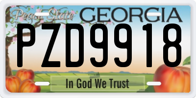 GA license plate PZD9918