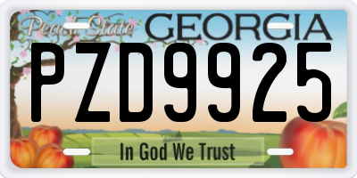 GA license plate PZD9925
