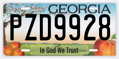 GA license plate PZD9928