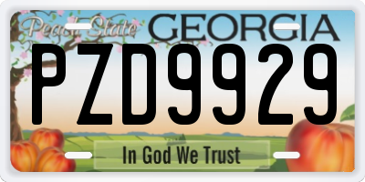 GA license plate PZD9929