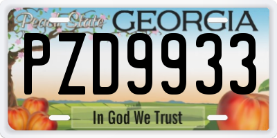 GA license plate PZD9933