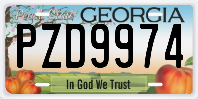 GA license plate PZD9974
