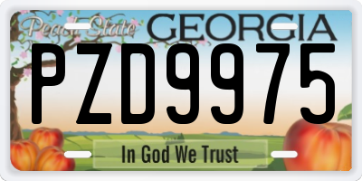 GA license plate PZD9975