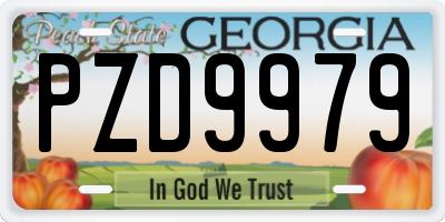 GA license plate PZD9979