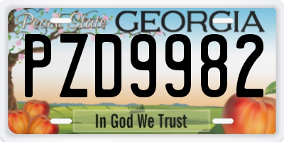 GA license plate PZD9982
