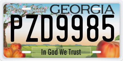 GA license plate PZD9985