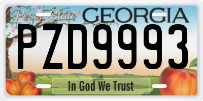 GA license plate PZD9993