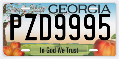 GA license plate PZD9995