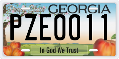 GA license plate PZE0011