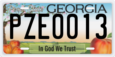 GA license plate PZE0013