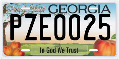 GA license plate PZE0025