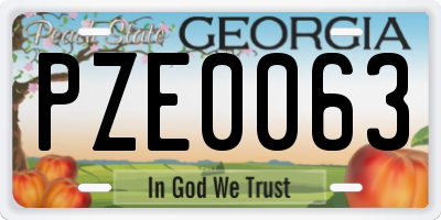 GA license plate PZE0063
