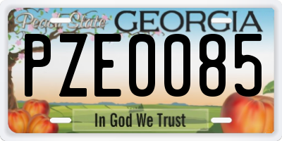 GA license plate PZE0085