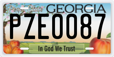 GA license plate PZE0087