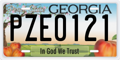 GA license plate PZE0121