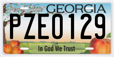 GA license plate PZE0129