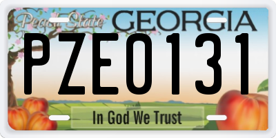 GA license plate PZE0131