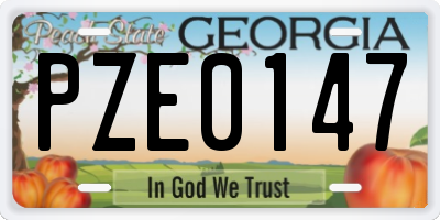 GA license plate PZE0147