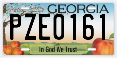 GA license plate PZE0161