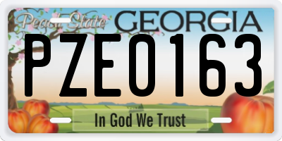 GA license plate PZE0163