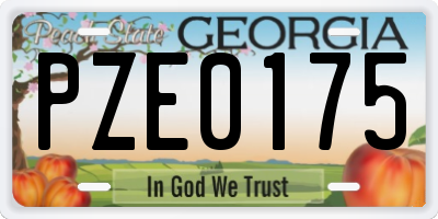GA license plate PZE0175