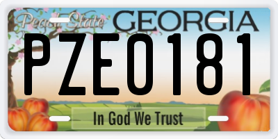 GA license plate PZE0181