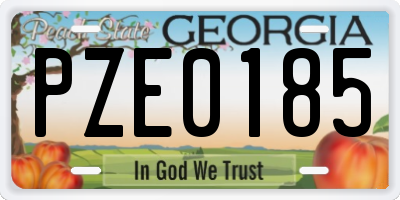 GA license plate PZE0185