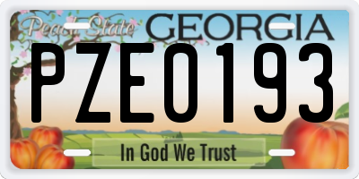 GA license plate PZE0193