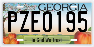 GA license plate PZE0195