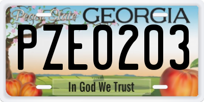 GA license plate PZE0203