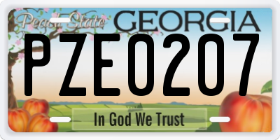 GA license plate PZE0207