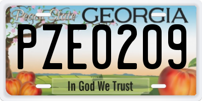 GA license plate PZE0209